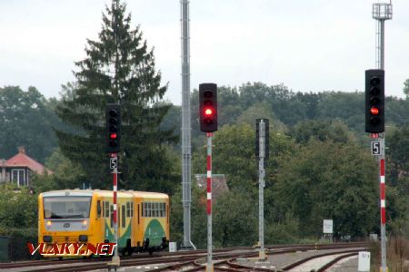 Letohradské zhlaví, 17.9.2017 © Jan Kubeš