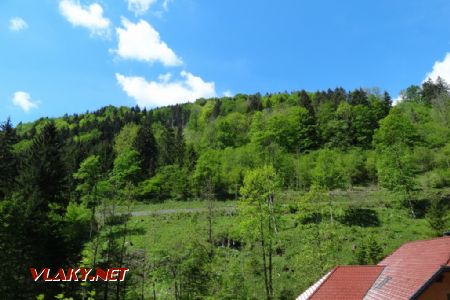Úsek Laubenbachmühle - Winterbach, po trati na protějším kopci za chvíli pojedeme, 21.5.2016 © Jiří Mazal