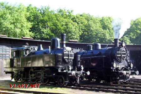 26.06.2004 - Lužná u Rak., ČD muzeum: rakouské lokomotivy 354.0130 (229.222 - studená) + 629.01 © PhDr. Zbyněk Zlinský