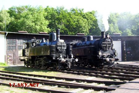 26.06.2004 - Lužná u Rak., ČD muzeum: rakouské lokomotivy 354.0130 (229.222 - studená) + 629.01 © PhDr. Zbyněk Zlinský