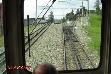 16.07.2017 – Vitznau-Rigi-Bahn: Rigi Kaltbad-First © Dominik Havel
