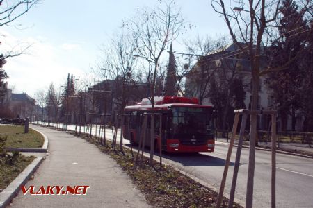 Zástupca trolejbusov v Bratislave, zast. Štefanovičova, 24.2.2018 © Kamil Korecz