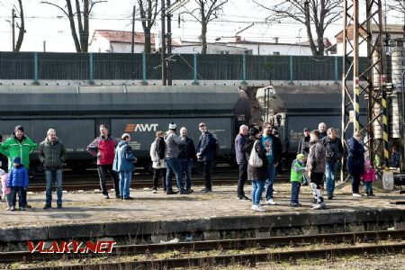 30.3.2018 - Lovosice: vlakyneťák © Jiří Řechka