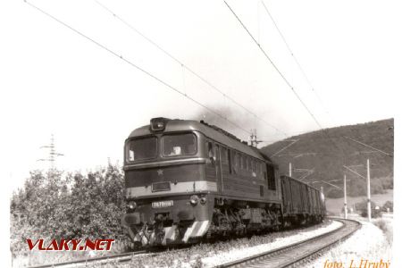 781.319-9 (T679.1319) - Opatová nad Váhom – Trenčín, 18.8.1988 © Libor Hrubý