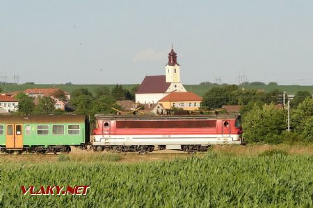 240.100 vchádza okolo Trstína do Smoleníc; 10.7.2015 © Marko