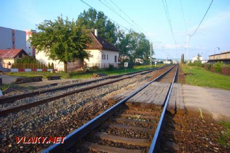 Výdreva v 2. TK ešte na svojom mieste, 11.06.2018 © František Sakalik