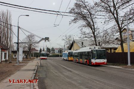 10.02.2019 - Hradec Králové, Slezské Př.-Cihelna: trolejbusy Škoda 30Tr č. 34, 13 a 30 na odstavném stanovišti © PhDr. Zbyněk Zlinský