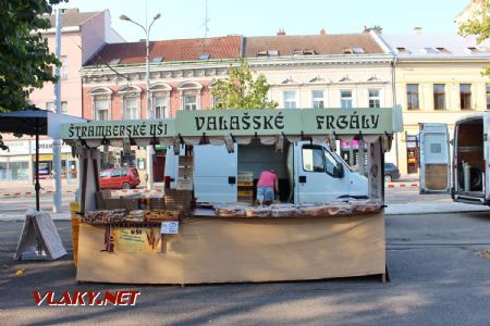 31.08.2019 - Hradec Králové, Smetanovo nábř.: tradiční zastupitelský úřad Valašského království © PhDr. Zbyněk Zlinský