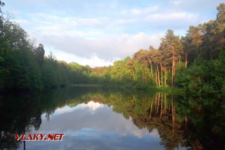 Lodž: Rybník v lese Łagiewniki © Tomáš Kraus, 22.5.2019
