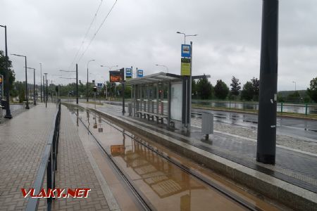 05.07.2019 – Olsztyn: společná zastávka tramvají a autobusů Uniwersytet-Pływalnia © Dominik Havel