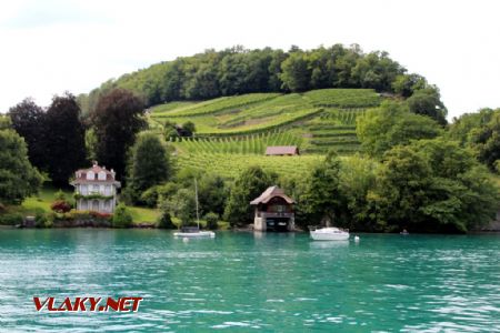 14.7.2020, zátišie s vinicou na brehu Thunersee © Alexandra Michelčíková