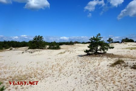 Sloviňský národní park, 30.7.2021 © Jiří Mazal