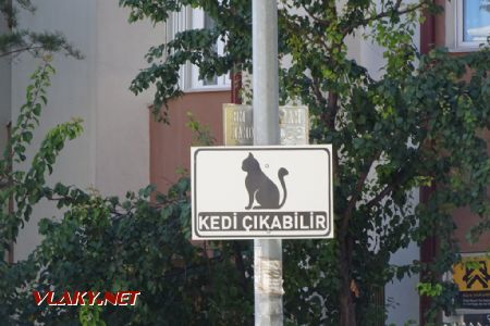 Sivas, značka upozorňující se na procházející kočky, 25.10.2022 © Jiří Mazal