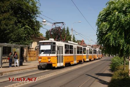 Budapest/Szülőotthon: trojička T5C5 je stále evergreenem linky 14, 26. 7. 2024 © Libor Peltan