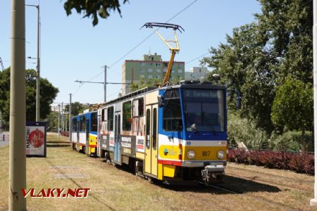 Szeged/Európa liget: 2x T6A2, 27. 7. 2024 © Libor Peltan