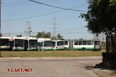 Szeged/vozovna trolejbusů: mezi šroty převažují endemitní Citara s trolejbusovou výzbrojí Škoda/Cegelec, 27. 7. 2024 © Libor Peltan