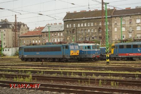 Budapest-Nyugati: Gigant, Szili a žehlička, 17. 8. 2024 © Libor Peltan