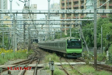 Harajuku, jednotka ř. E235, 29.10.2024 © Jiří Mazal