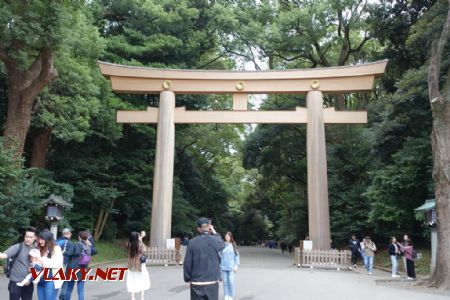 Tokio, svatyně Meidži, 29.10.2024 © Jiří Mazal