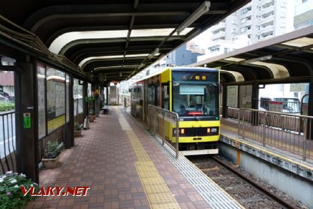 Tokio, zast. Waseda, tramvaj typu Toei 8900, 29.10.2024 © Jiří Mazal