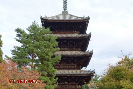 Kyoto, chrám Ninna-ji, 5.11.2024 © Jiří Mazal