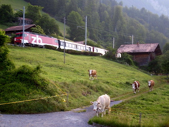 03.06.2007-Ebligen, Zentral Bahn si to mieri do Interlakenu Ost, v pozadí náš "hotel Ebligen" © Ivan Schuller