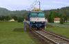 RE: Trainz Railroad Simulator 2006 a novšie